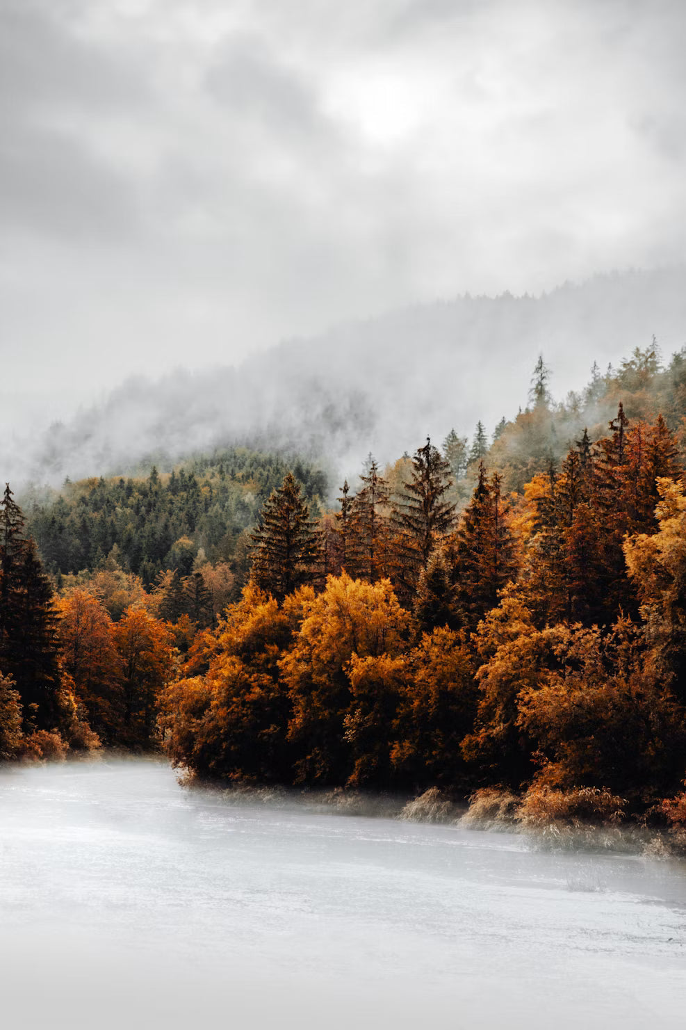 Autumn