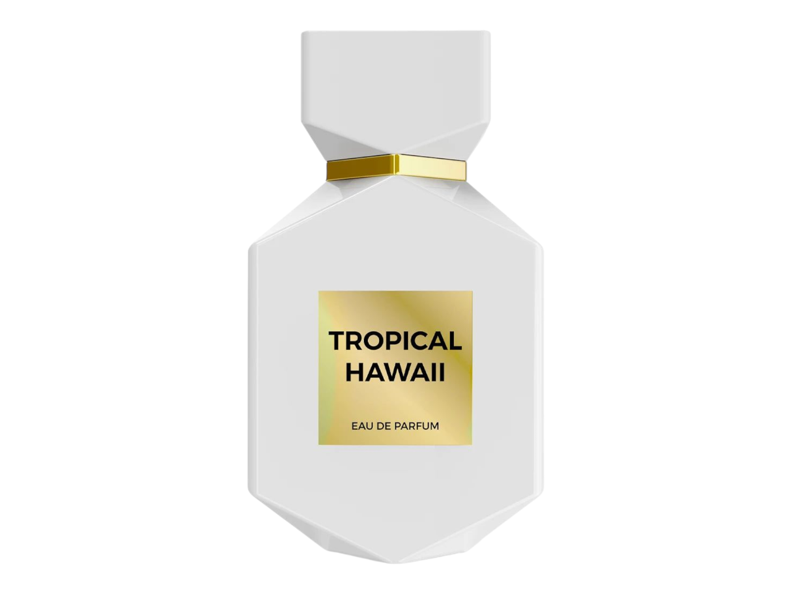 Camara Tropical Hawaii EDP 100ML Unisex image 0