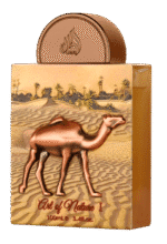 Lattafa Pride Art of Nature I Eau de Parfum for Everyone 100ml - Image 3