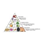 Al Haramain Detour Noir EDP 100ML Unisex - Image 4